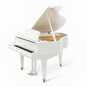 Kawai GL-20